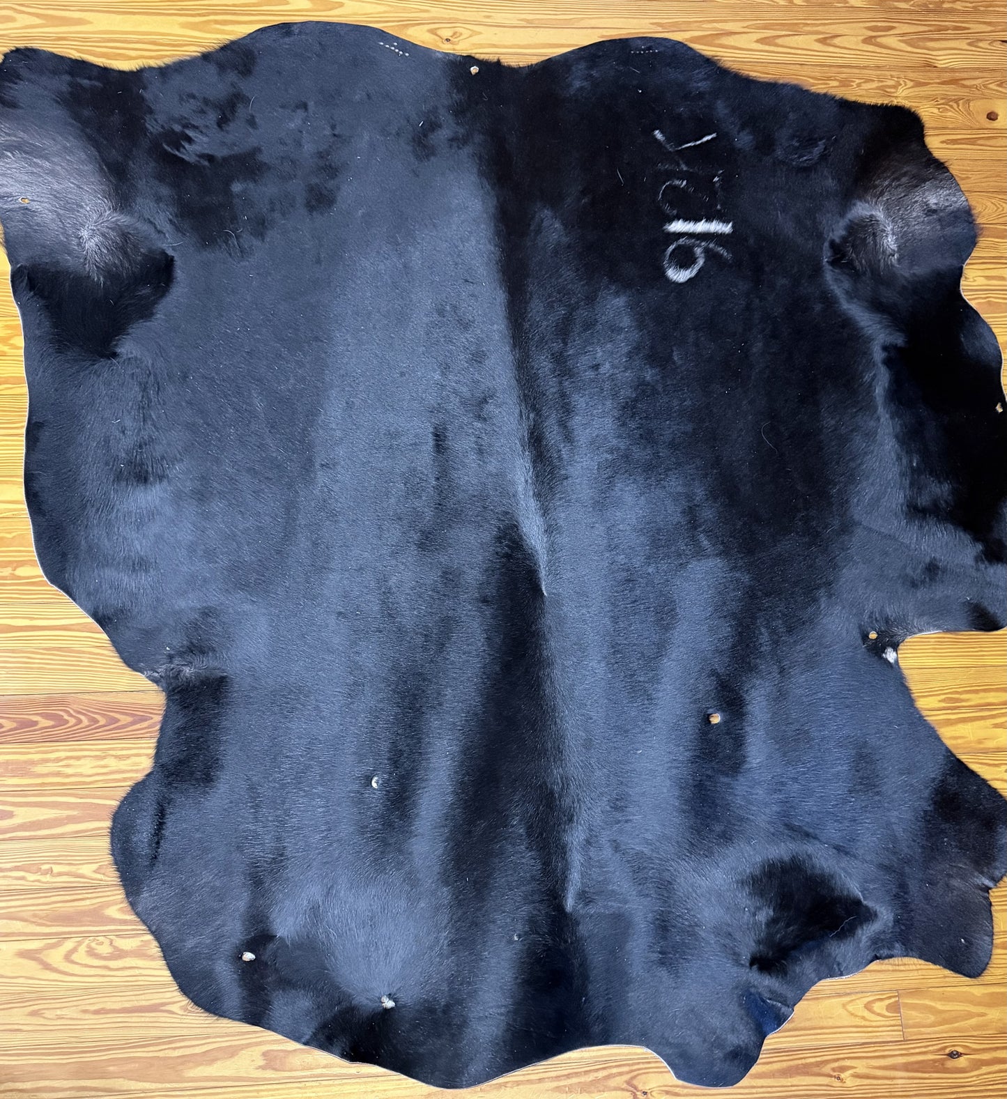 Fadeosh Cow Hide with Freeze Brand